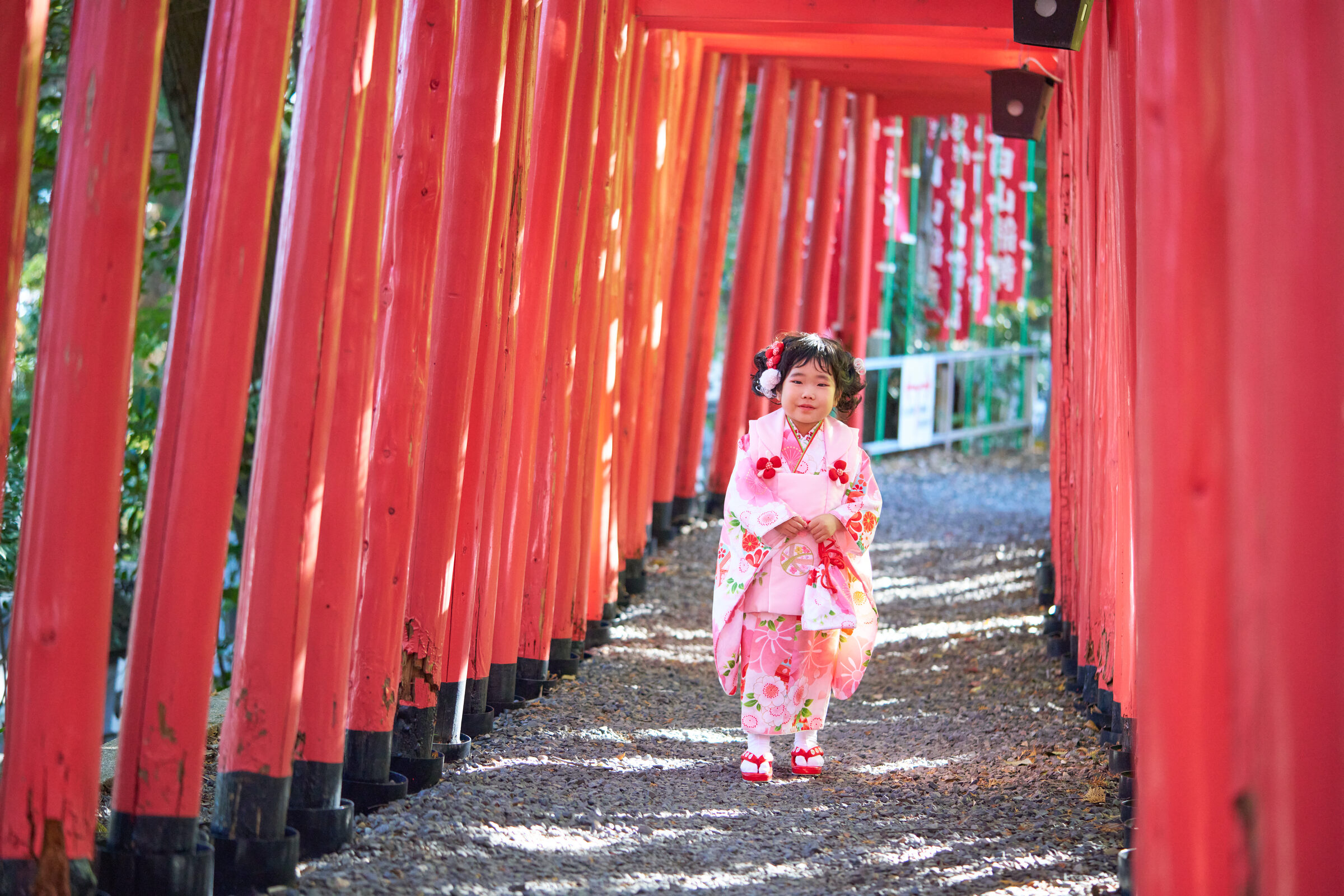 白山神社 七五三撮影 4